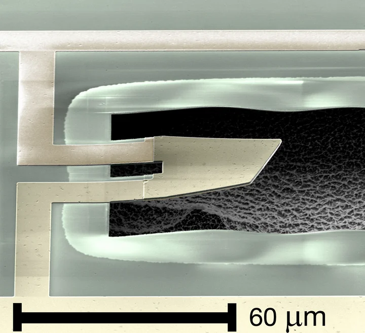 Electron micrograph of a suspended paddle-shaped mechanical resonator held by two leads, with a 60-micrometer scale bar.