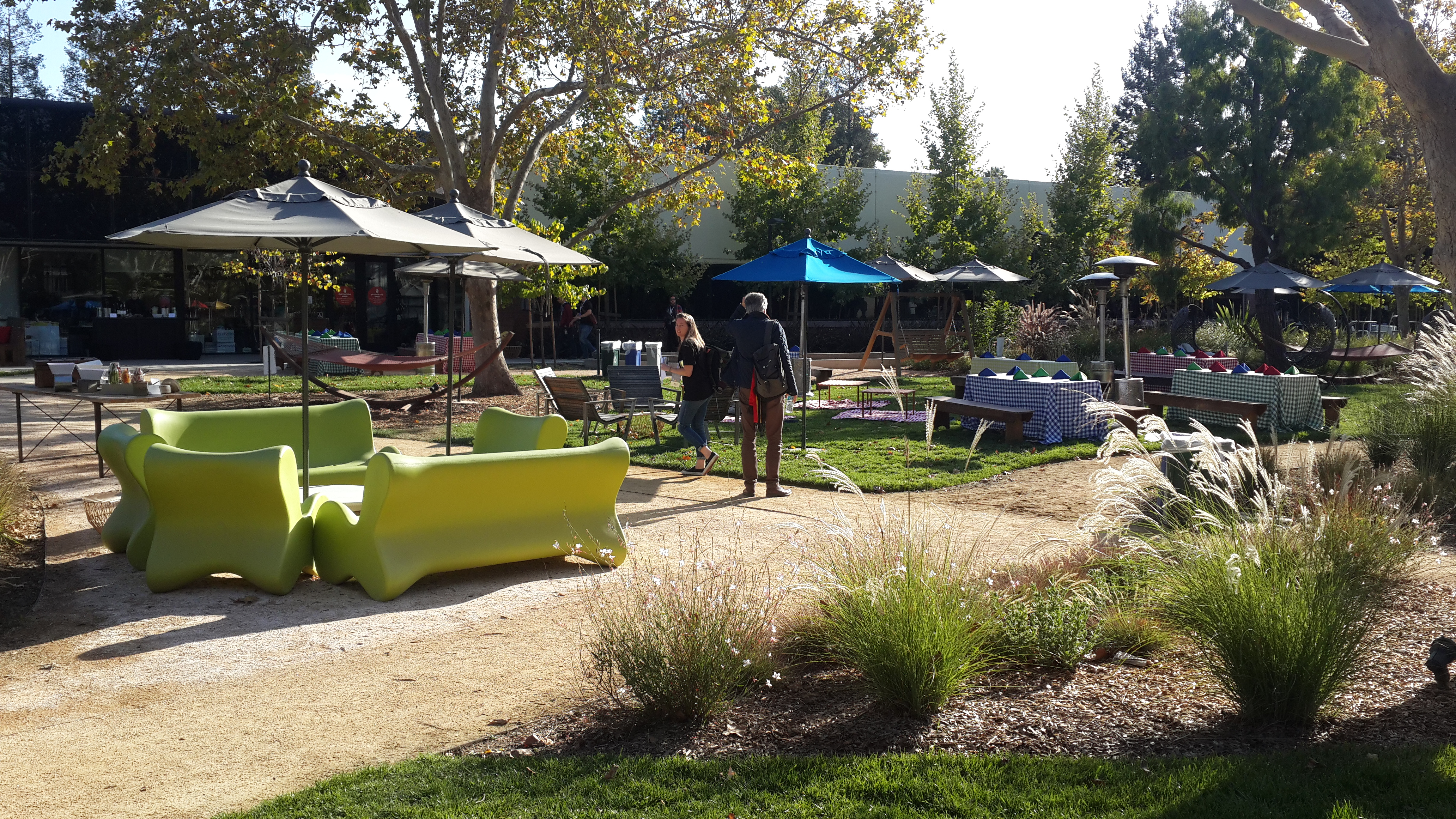 Photograph of an outdoor area at Google's Mountain View campus.