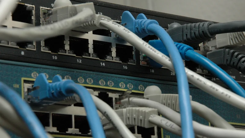 Blue and light-colored Ethernet cables plug into ports on two network switches.