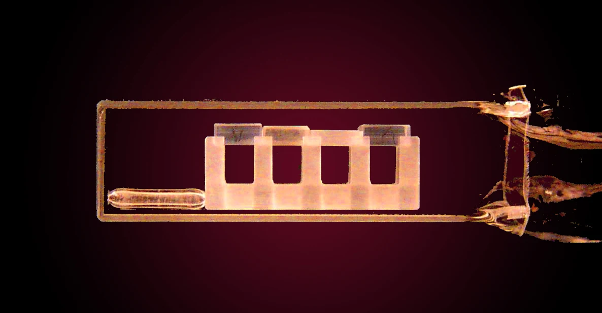 Four small squares of glass suspended inside a long glass vacuum cell.