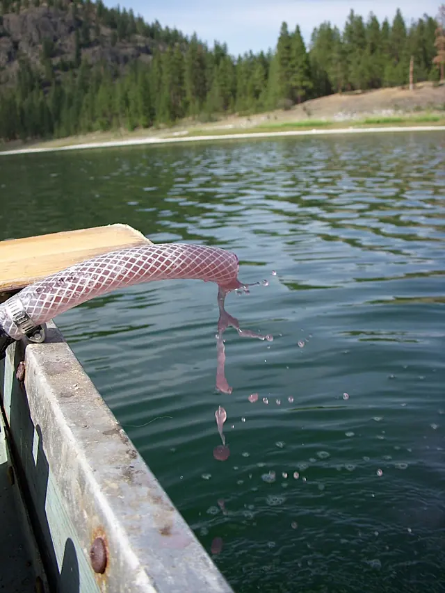 Purple water streams from a sampling hose above a lake, with a wooded shore behind it.