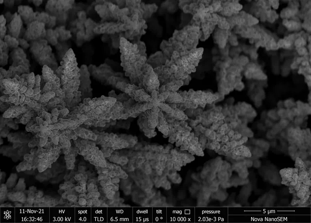 A scanning-electron micrograph shows branching structures on a copper catalyst.