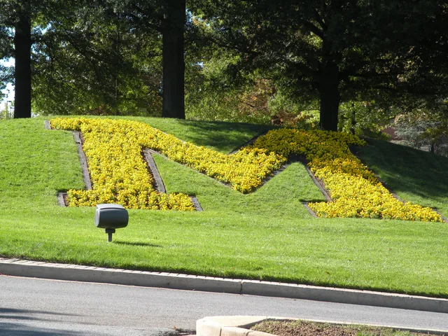 A large yellow M is planted on a grassy slope at the University of Maryland.