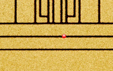 Dark gaps divide a gold-colored patterned surface, with a red circular marker near a central horizontal gap.
