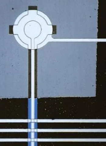 A circular patterned feature sits on a gray membrane, with narrow pale lines running downward and to the right.