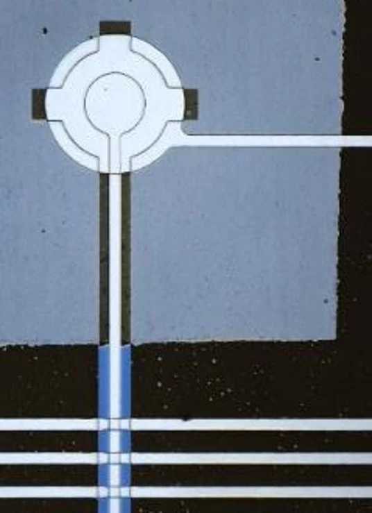 A circular patterned feature sits on a gray membrane, with narrow pale lines running downward and to the right.
