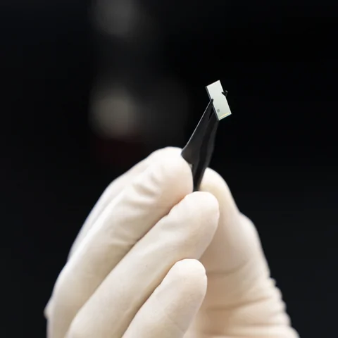 A white-gloved hand holds black tweezers gripping a small pale rectangular chip against a dark blurred background.