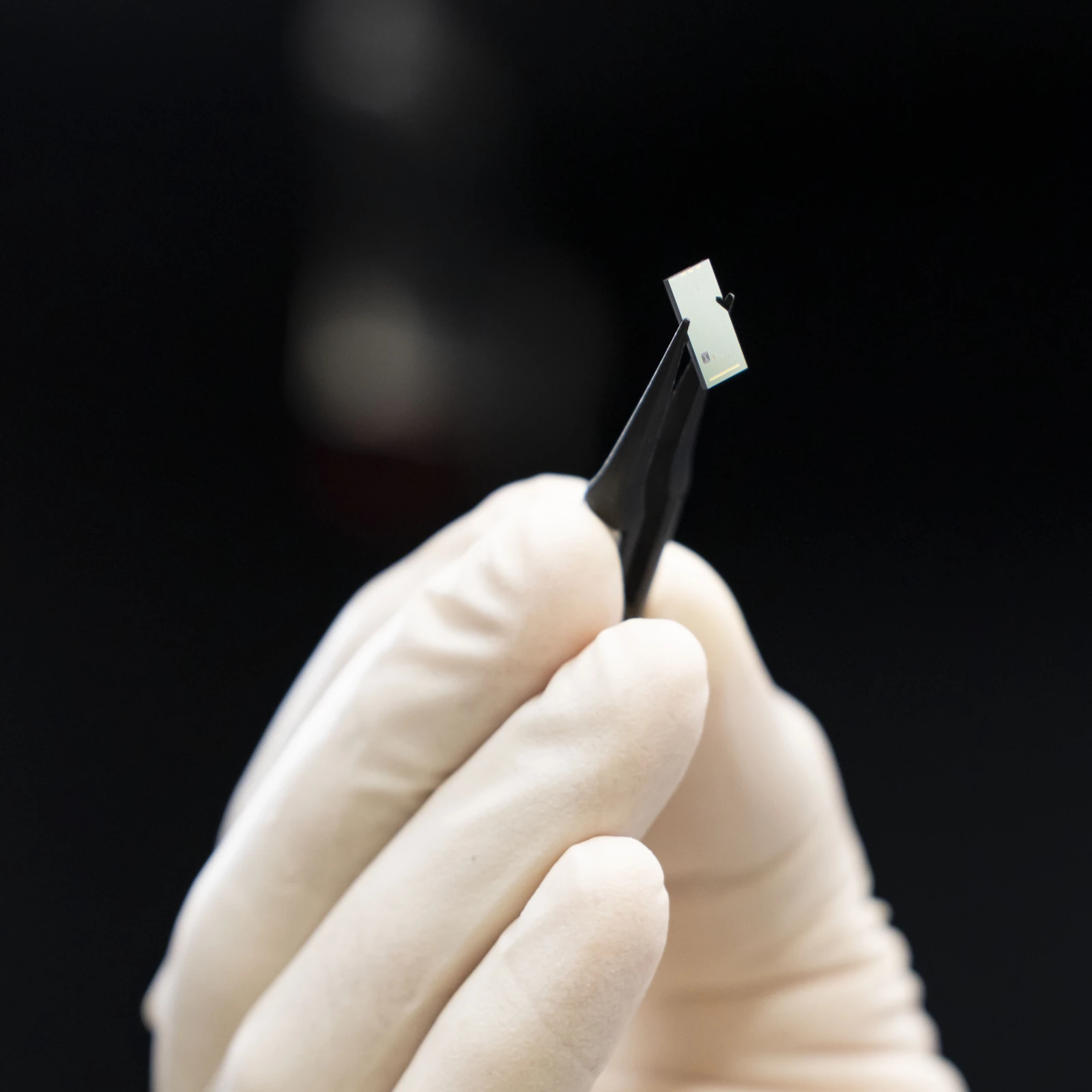 A white-gloved hand holds black tweezers gripping a small pale rectangular chip against a dark blurred background.