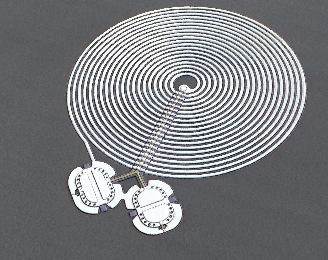 Microscope view of a large spiral circuit connected to two smaller drum structures.
