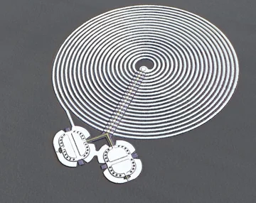Microscope view of a large spiral circuit connected to two smaller drum structures.
